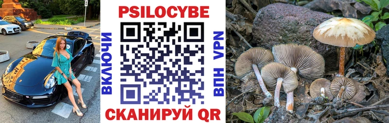 Галлюциногенные грибы Magic Shrooms  магазин продажи наркотиков  Красноуфимск 